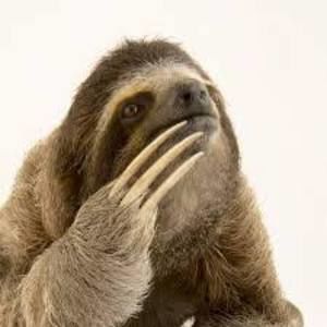 Meet your Posher, Alan